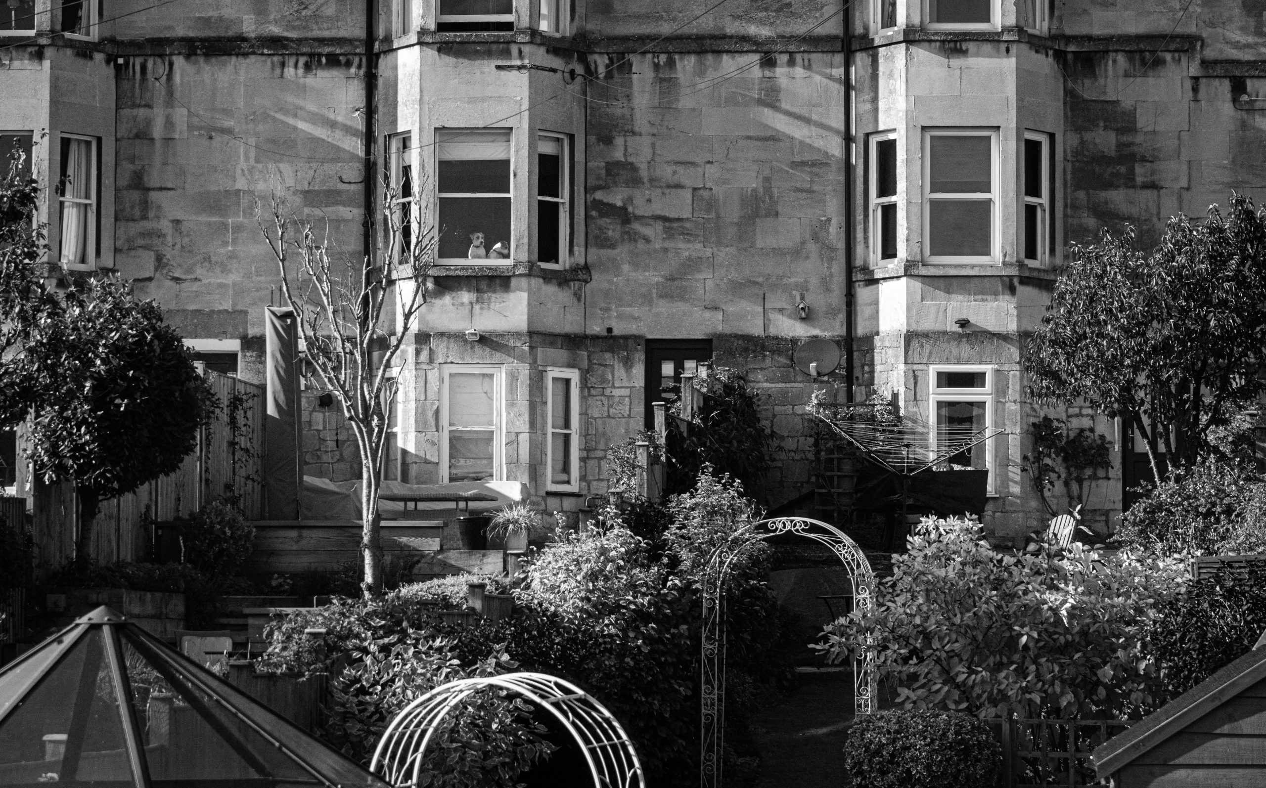 Homepage for Pet Care shampoos