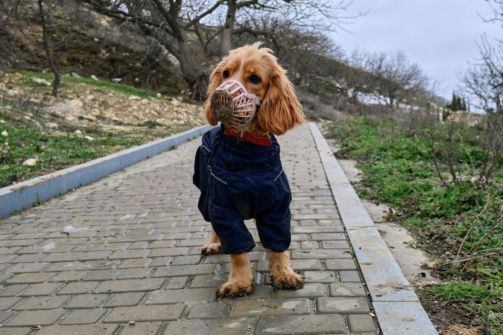 Close-up of a shampoo bottle highlighting ingredients such as oatmeal and aloe vera