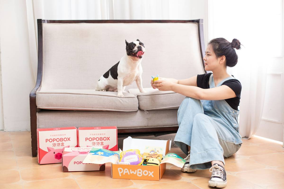 Photo of a joyful golden retriever post-bath session