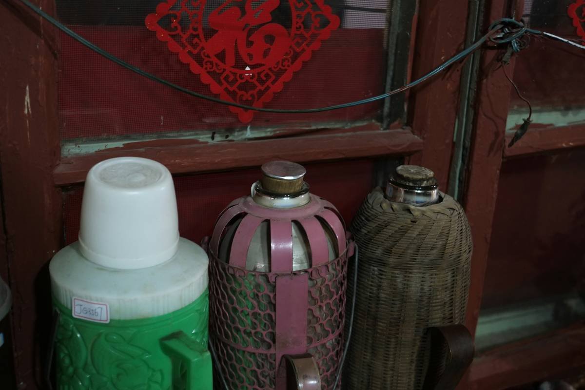 A tabby cat covered in fleas being examined by a vet