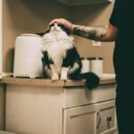 The Ultimate Guide to Dense Hair Shampoo: Find the Perfect Fit for Your Pet