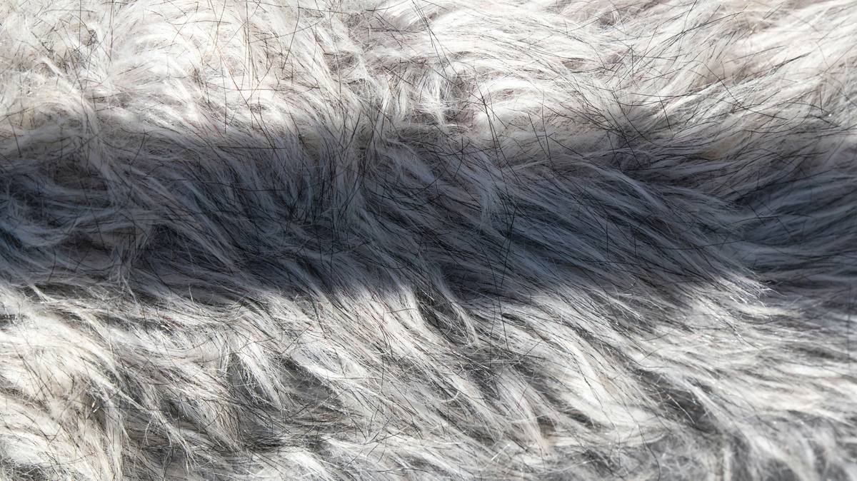 Infographic showing healthy vs. dry dog coat structure: healthy shows intact lipid barrier and smooth cuticles; dry shows cracked lipids, raised cuticles, and inflammation