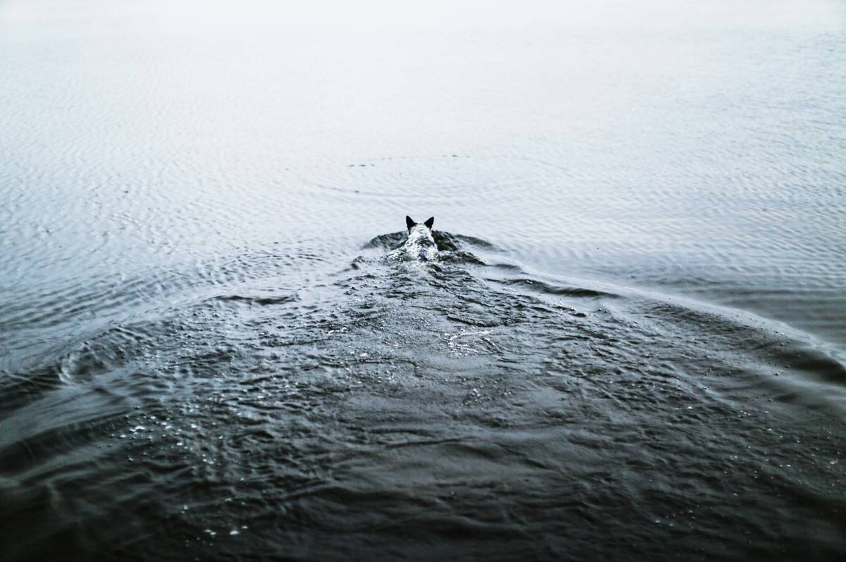 person surfing on water during daytime
