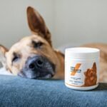 Why pH Balanced Pet Shampoo Is the Only Choice for Healthy Skin